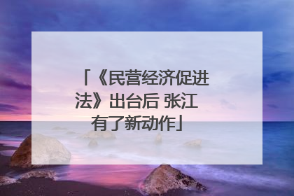 《民营经济促进法》出台后 张江有了新动作