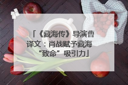 《藏海传》导演曹译文：肖战赋予藏海“致命”吸引力