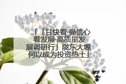 「甘快看·强信心 看发展·高质量发展调研行」陇东大塬何以成为投资热土