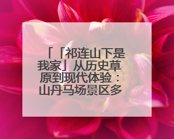 「祁连山下是我家」从历史草原到现代体验：山丹马场景区多维升级 解锁五一文旅新玩法