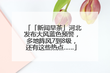 「新闻早茶」河北发布大风蓝色预警，多地阵风7到8级，还有这些热点……