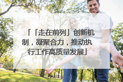 「走在前列」创新机制，凝聚合力，推动执行工作高质量发展