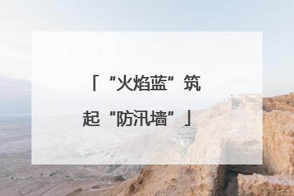 “火焰蓝”筑起“防汛墙”