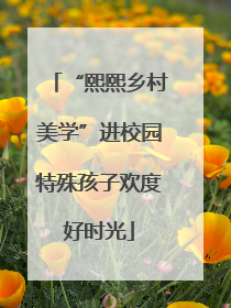 “熙熙乡村美学”进校园特殊孩子欢度好时光