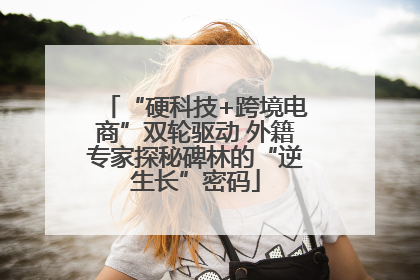 “硬科技+跨境电商”双轮驱动 外籍专家探秘碑林的“逆生长”密码