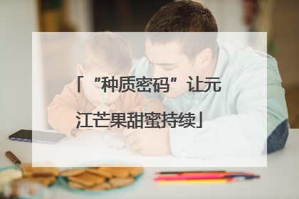 “种质密码”让元江芒果甜蜜持续