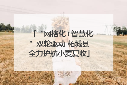 “网格化+智慧化”双轮驱动 柘城县全力护航小麦夏收