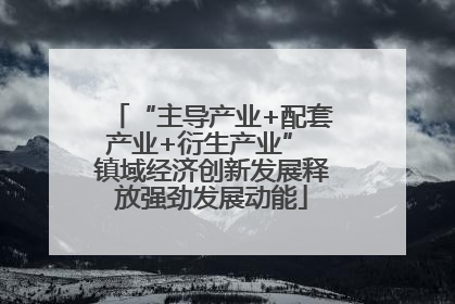 “主导产业+配套产业+衍生产业” 镇域经济创新发展释放强劲发展动能