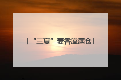 “三夏”麦香溢满仓