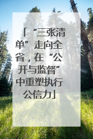 “三张清单”走向全省，在“公开与监督”中重塑执行公信力