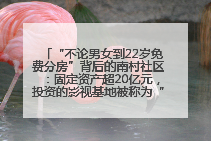 “不论男女到22岁免费分房”背后的南村社区：固定资产超20亿元，投资的影视基地被称为“山村好莱坞”