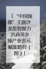 “中国辣都”主题沙龙集智聚力 共商萍乡辣产业多元赋能路径（图）