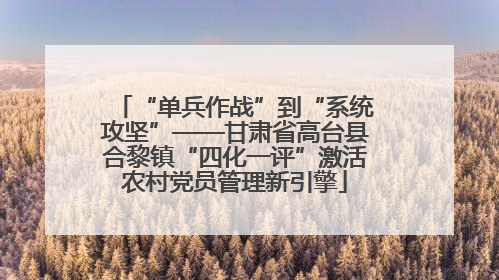 “单兵作战”到“系统攻坚”——甘肃省高台县合黎镇“四化一评”激活农村党员管理新引擎