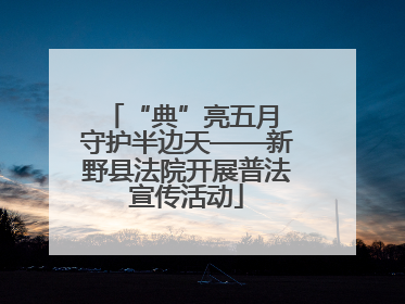 “典”亮五月 守护半边天——新野县法院开展普法宣传活动