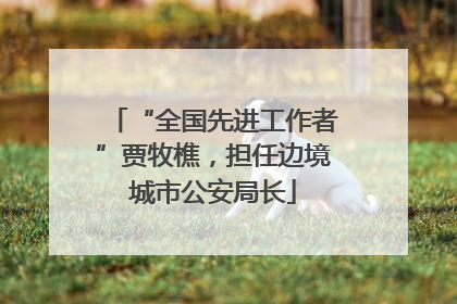 “全国先进工作者”贾牧樵，担任边境城市公安局长