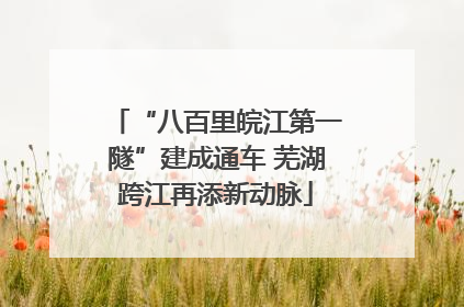 “八百里皖江第一隧”建成通车 芜湖跨江再添新动脉