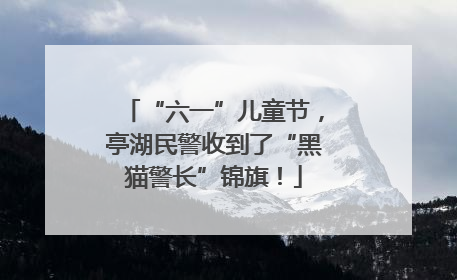 “六一”儿童节，亭湖民警收到了“黑猫警长”锦旗！