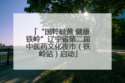 “国粹岐黄 健康铁岭”辽宁省第二届中医药文化夜市（铁岭站）启动