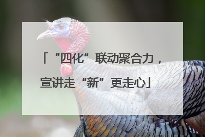 “四化”联动聚合力，宣讲走“新”更走心
