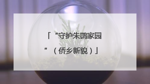“守护朱鹮家园”（侨乡新貌）