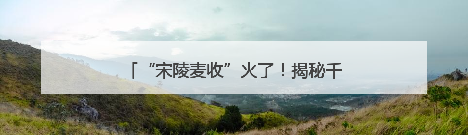 “宋陵麦收”火了！揭秘千年石刻与麦田如何共生→