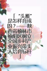 “头雁”是怎样育成的？——陕西省榆林市榆阳区树立全国乡村产业振兴带头人培育标杆
