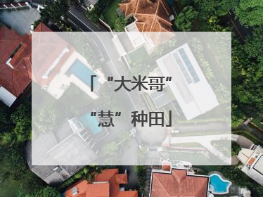 “大米哥”“慧”种田