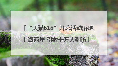 “天猫618”开幕活动落地上海西岸 引数十万人到访