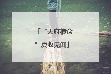 “天府粮仓”夏收见闻