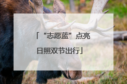 “志愿蓝”点亮日照双节出行