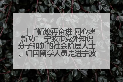 “循迹再奋进 同心建新功” 宁波市党外知识分子和新的社会阶层人士、归国留学人员走进宁波舟山港穿山港区