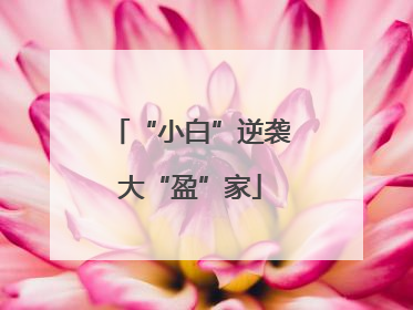“小白”逆袭大“盈”家