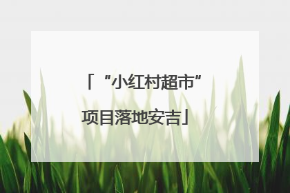 “小红村超市”项目落地安吉