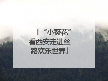 “小葵花”看西安走进丝路欢乐世界