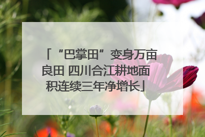 “巴掌田”变身万亩良田 四川合江耕地面积连续三年净增长