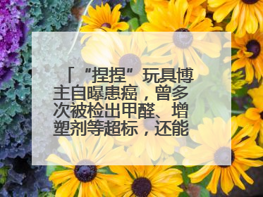 “捏捏”玩具博主自曝患癌，曾多次被检出甲醛、增塑剂等超标，还能玩吗？