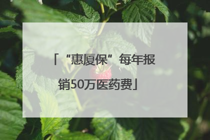 “惠厦保”每年报销50万医药费