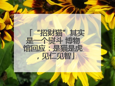 “招财猫”其实是一个熨斗 博物馆回应：是猫是虎，见仁见智
