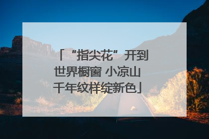 “指尖花”开到世界橱窗 小凉山千年纹样绽新色