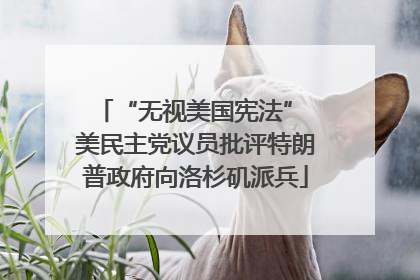“无视美国宪法” 美民主党议员批评特朗普政府向洛杉矶派兵