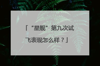 “星舰”第九次试飞表现怎么样？