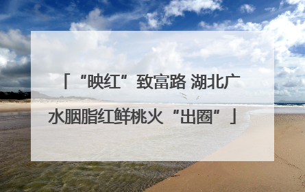 “映红”致富路 湖北广水胭脂红鲜桃火“出圈”