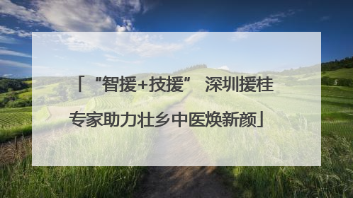 “智援+技援” 深圳援桂专家助力壮乡中医焕新颜