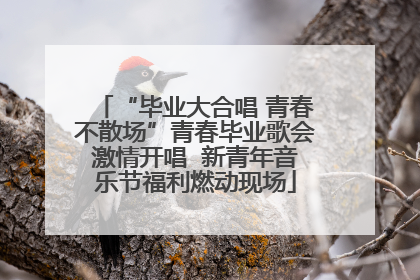 “毕业大合唱 青春不散场”青春毕业歌会激情开唱  新青年音乐节福利燃动现场