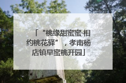 “桃缘甜蜜蜜·相约桃花驿”，孝南杨店镇早蜜桃开园
