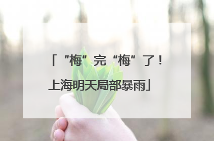 “梅”完“梅”了！上海明天局部暴雨