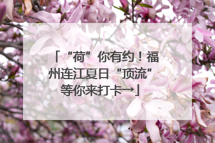 “荷”你有约！福州连江夏日“顶流”等你来打卡→