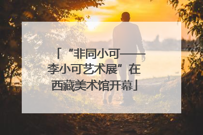 “非同小可——李小可艺术展”在西藏美术馆开幕