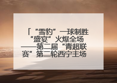 “雪豹”一球制胜 “盛宴”火爆全场——第二届“青超联赛”第二轮西宁主场比赛见闻