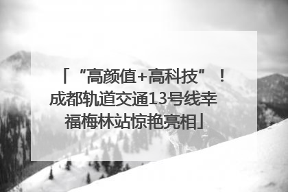 “高颜值+高科技”！成都轨道交通13号线幸福梅林站惊艳亮相